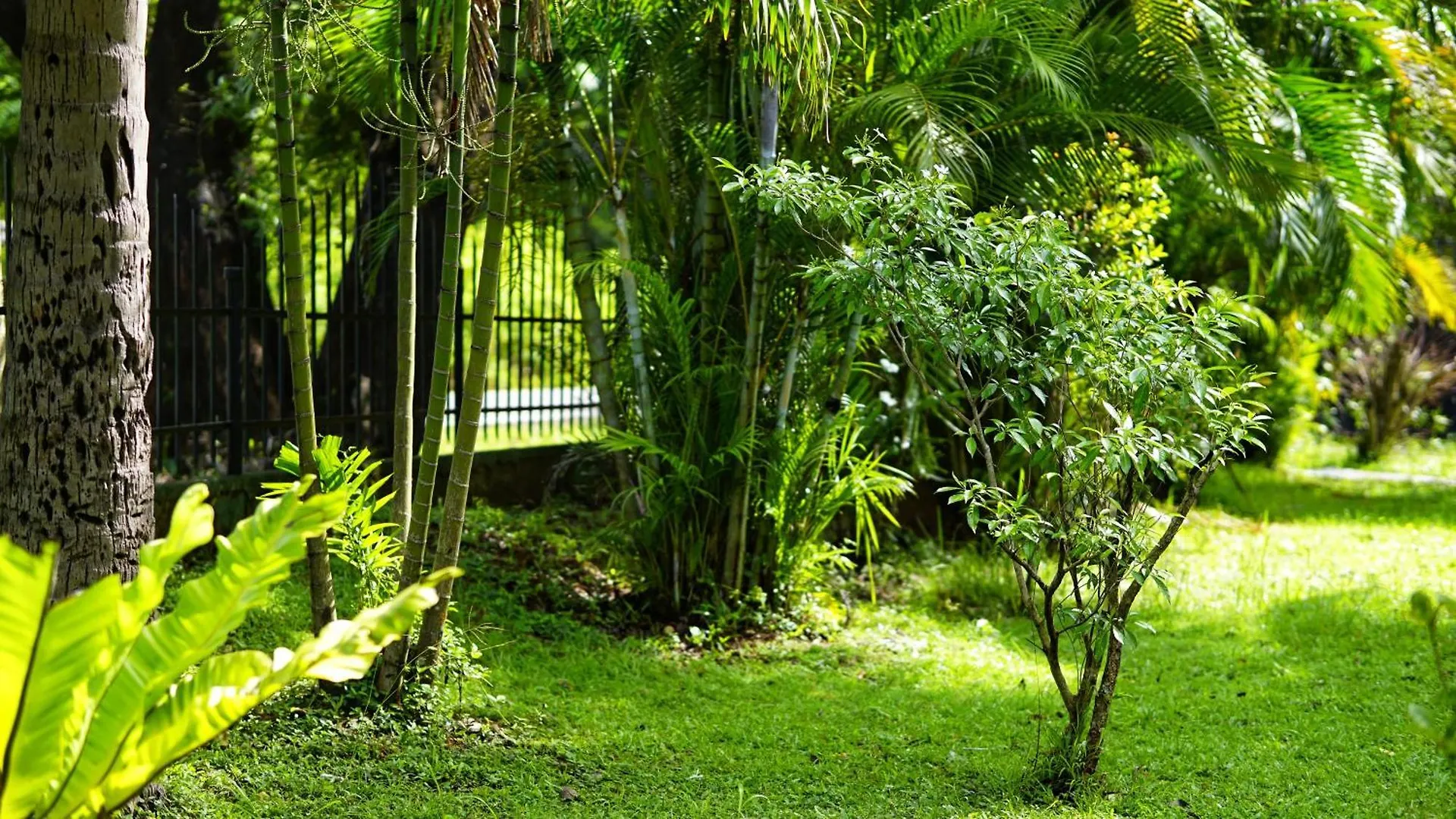 Lavish Layer Homestay Sigiriya 0*,  Sri Lanka
